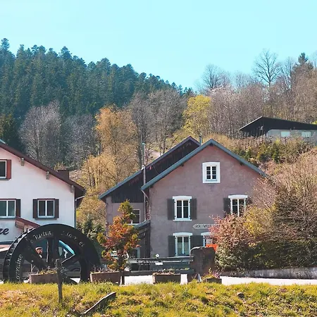 Appartamento L'annexe Loft Design Au Sommet Des Vosges, 10 Min Gérardmer Au Pied Des Sentiers